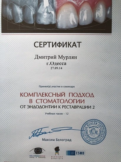 Сертификат Мурлян Дмитрия Ивановича - 6