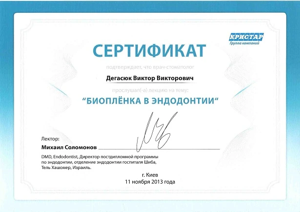Дегасюк Виктор Викторович - сертификат №31