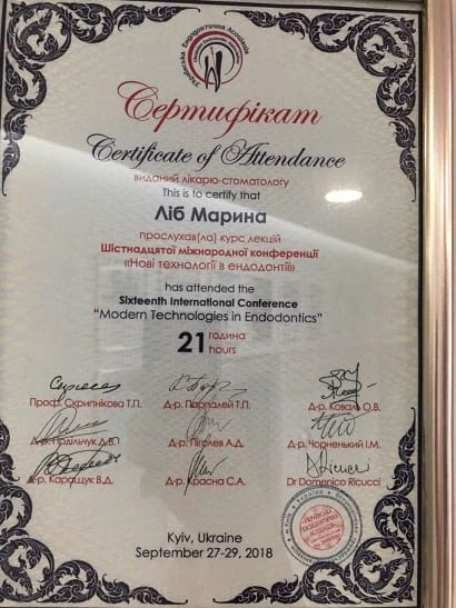 Сертификат Либ Марины Владимировны - 17