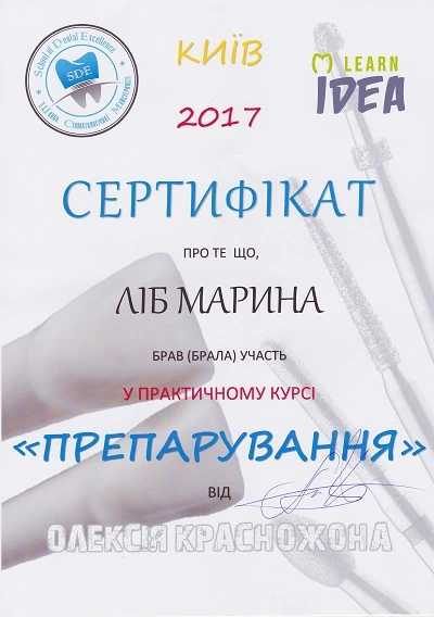 Сертификат Либ Марины Владимировны - 9