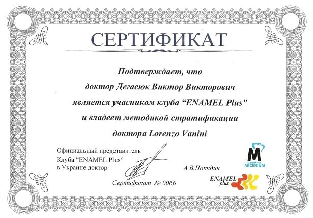 Дегасюк Виктор Викторович - сертификат №30