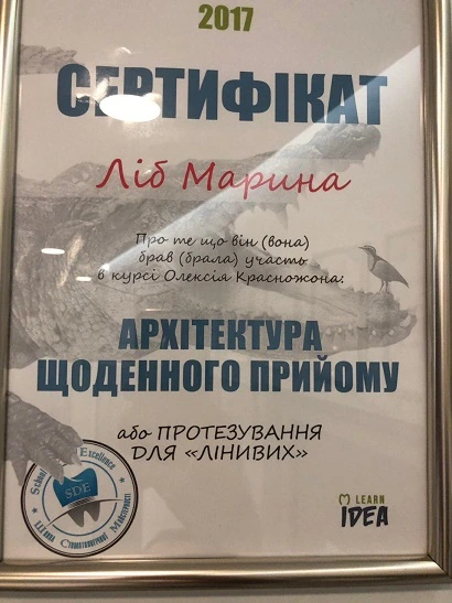 Сертификат Либ Марины Владимировны - 15