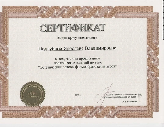 Сертификат Подлубной Ярославы Владимировны - 11