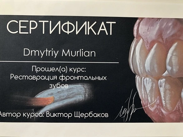 Сертификат Мурлян Дмитрия Ивановича - 18