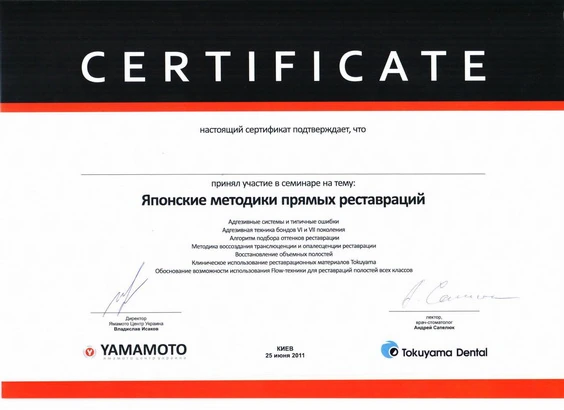 Сертификат Зюрина Михаила Сергеевича - 1