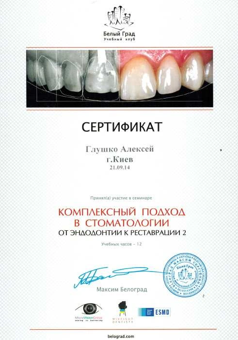 Глушко Алексей Сергеевич сертификат - 13