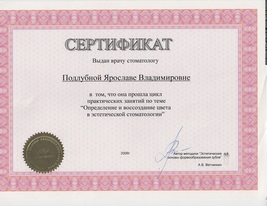 Сертификат Подлубной Ярославы Владимировны - 12