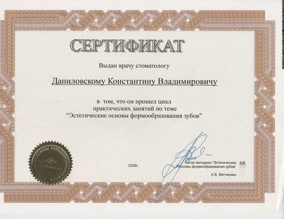 Сертификат Даниловского Константина Владимировича - 10