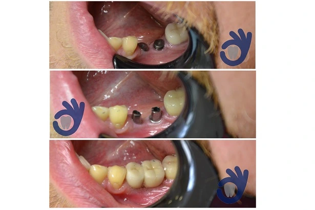 Стоматологія «Good Dental»  (Гудд Дентал)