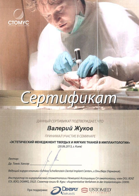 Жуков Валерий Валентинович сертификат - 7
