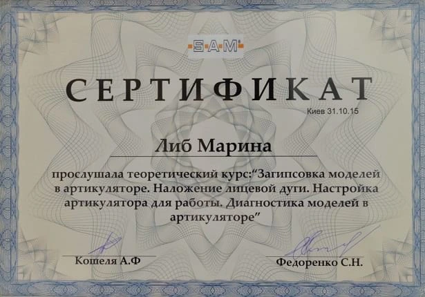 Сертификат Либ Марины Владимировны - 37