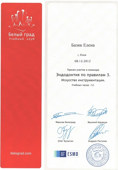 Сертификат Базик Елена Викторовна - 7