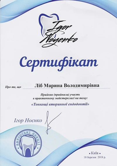 Сертификат Либ Марины Владимировны - 12