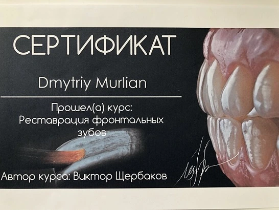 Сертификат Мурлян Дмитрия Ивановича - 12